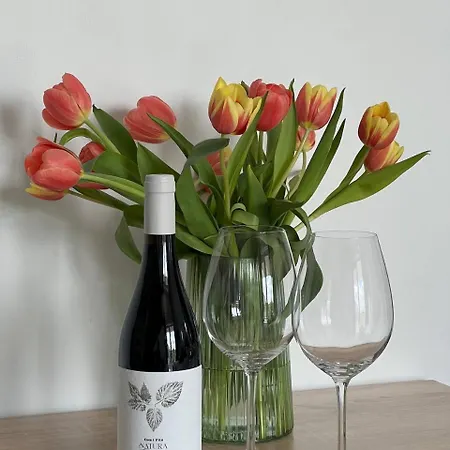 Apartman Lust&desire Bdsm Krakkó